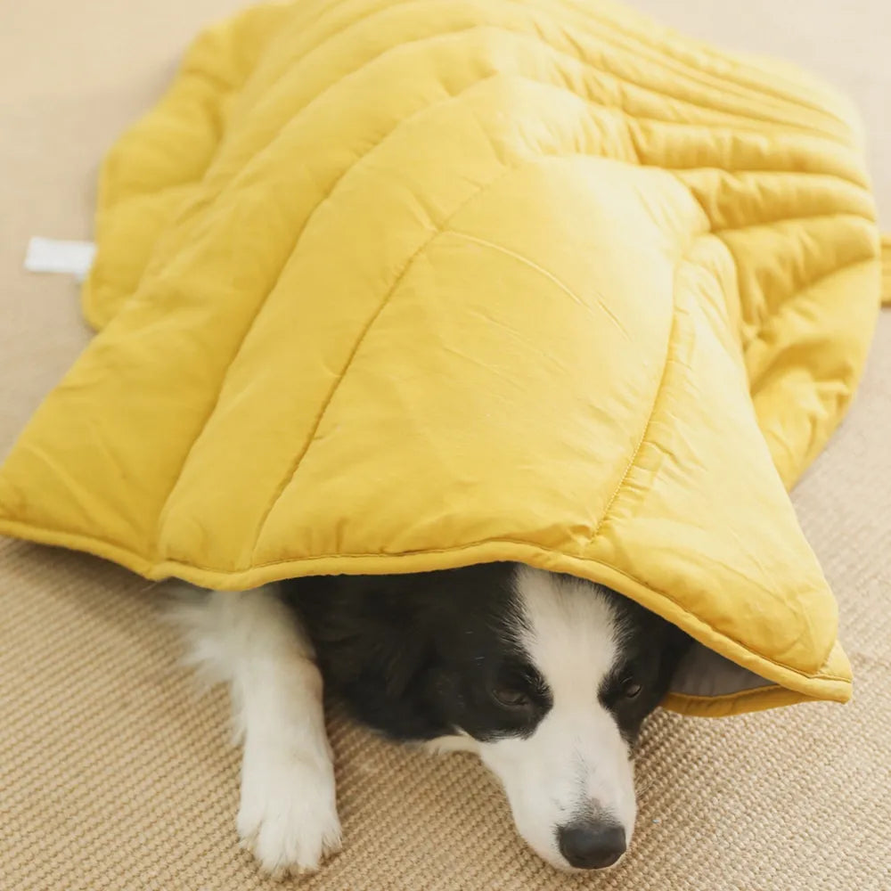 Hundedecke in Blattform für das ganze Jahr